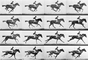 Muybridge_race_horse_gallop